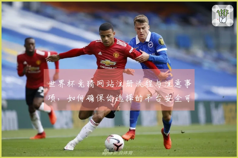 世界杯竞猜网站注册流程与注意事项，如何确保你选择的平台安全可靠