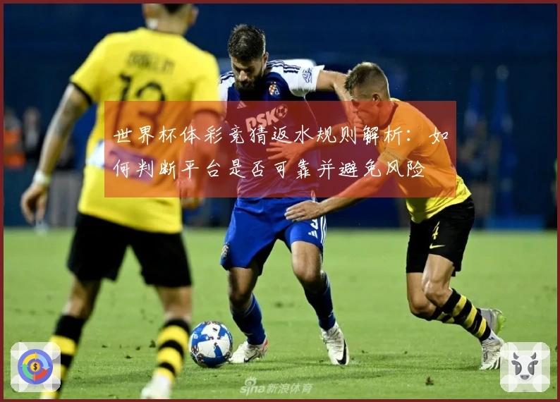 世界杯体彩竞猜返水规则解析：如何判断平台是否可靠并避免风险