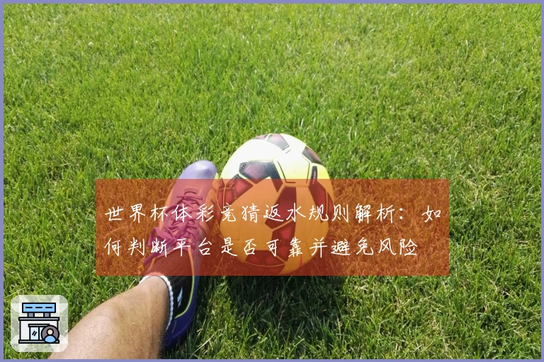 世界杯体彩竞猜返水规则解析：如何判断平台是否可靠并避免风险