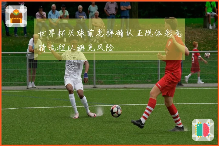 世界杯买球前怎样确认正规体彩竞猜流程以避免风险
